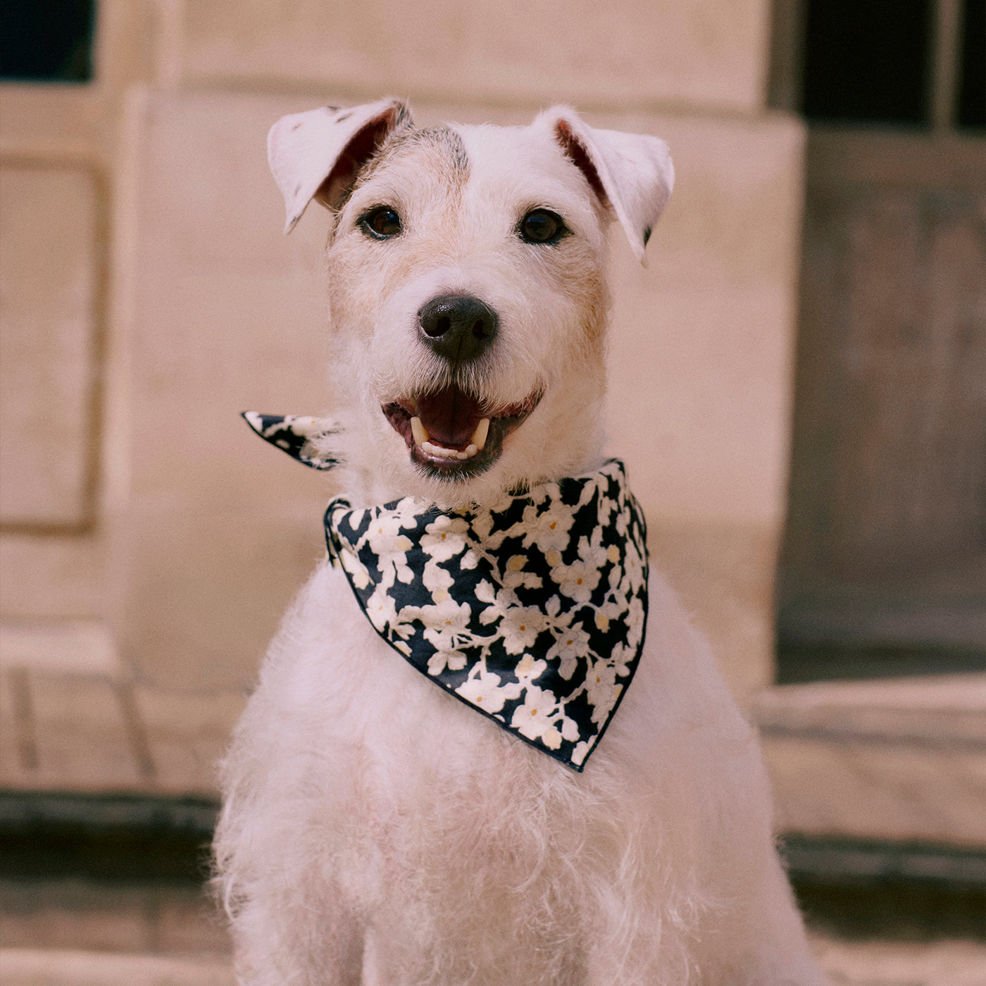 Foulard Cayati en tissu Liberty noir en coton biologique